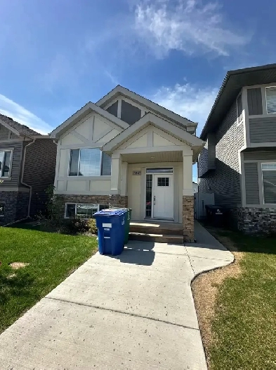 Pet friendly 3 bedroom in Brighton image