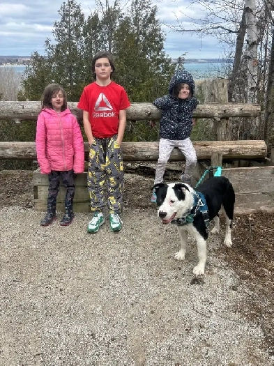 Family of 5 looking for 34 bedroom home image