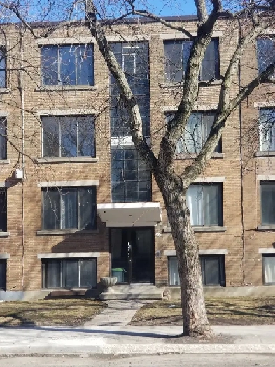 Grand 3 12 semi meuble pres du Centre Ville image