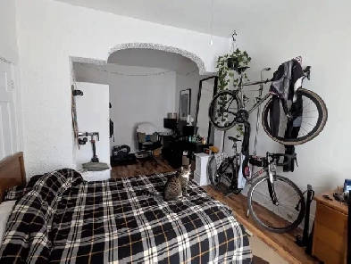 Plateau colocation  Roomate wanted image
