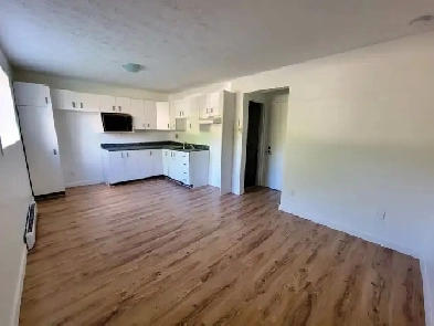 3 12 1 chambre Libre 1er juillet image