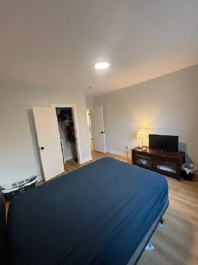 Bedroom in renovated 3 bed house image