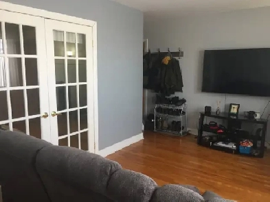 Very nice newly renovated 4 12 apt 2 closed  1 living room image