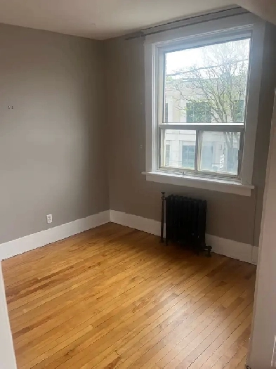 2 bedroom apt in the glebe image