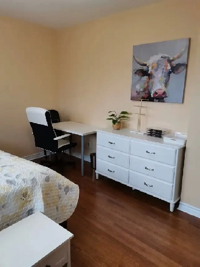 North York BathurstSteels 1 master bedroom rent to female image