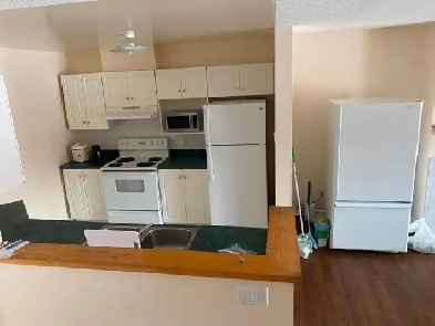 800 Room for Rent 8Minute Walk from Algonquin College  Male image
