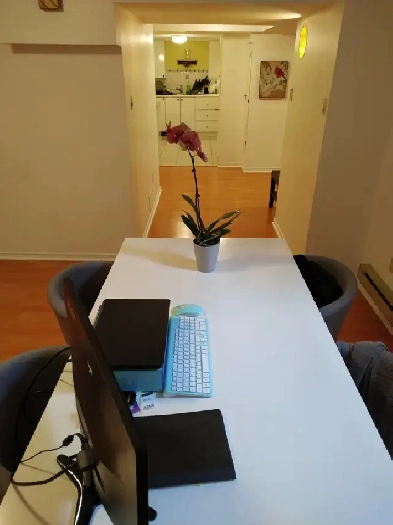 Large One Bedroom Basement Apartment for Rent image