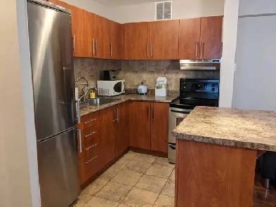 Furnished onebedroom apt Gerard and River June 1 image