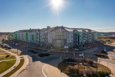 Brand New Never Lived in Studio Apartment with Rooftop Patio image