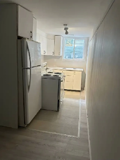 SUN FILLED THREE BEDROOM BASEMENT FOR RENT  NEWMARKET image