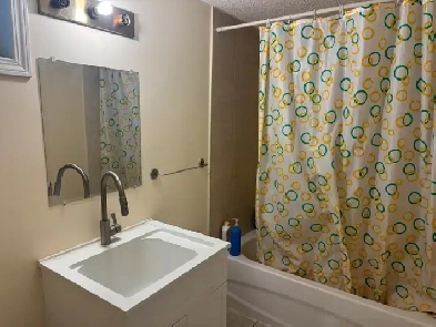 1 bedroom of basement for rent image