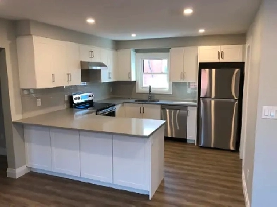 Summer Student Rental image