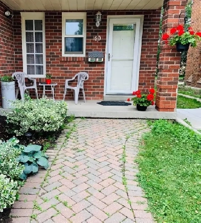 3 Bedroom 3 Bathroom House for Rent image