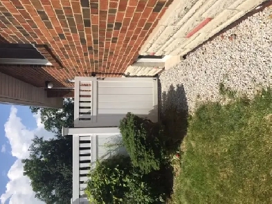 Etobicoke room for rent image