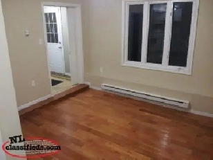 Cozy spacious 2 bdrm above ground apartment for rent image
