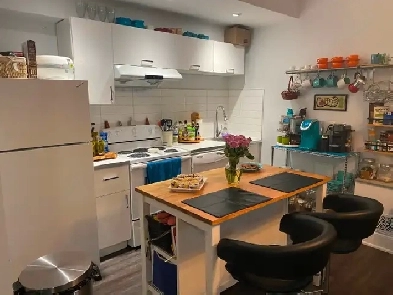 1 Bedroom 1 Bathroom Apartment For Rent image