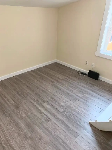 Room Rental in an Apartment Downtown Open Now  Pet Friendly image