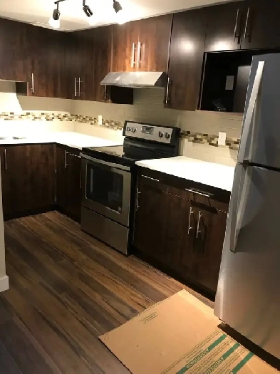 2 bedroom basement for rent image