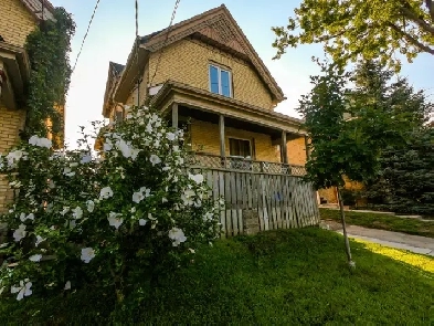 2 Bedroom  Entire House Rental in Old East Village image