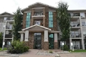 Beautiful Apartment on Terwillegar Drive image