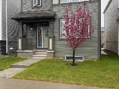 Beautiful 2 bed 1 bath basement suite all utilities included image