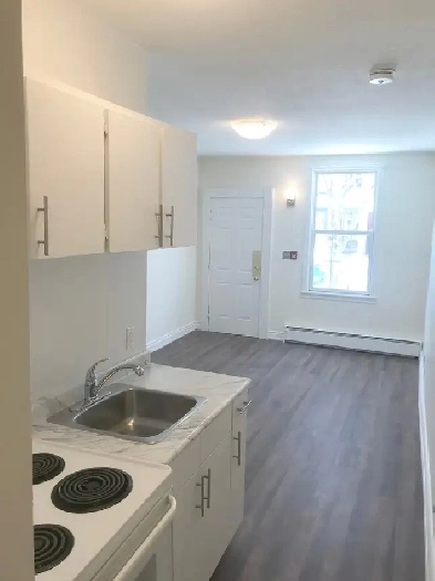 Studio Apt in Roncesvalles image