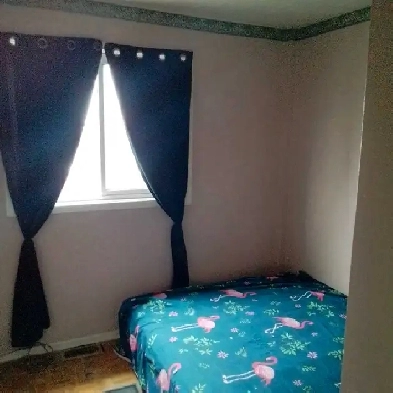 private room for rent image