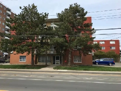 1 Bedroom Apartment Renovated image