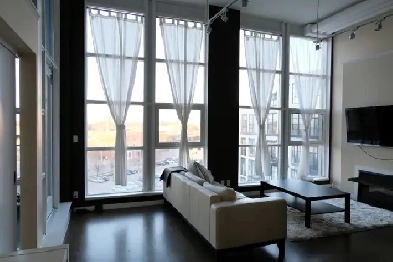 Kitchener  1 Bed1 Bath Loft  2050 image