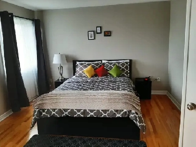 Furnished Room as Sharing accommodation from 15 June image