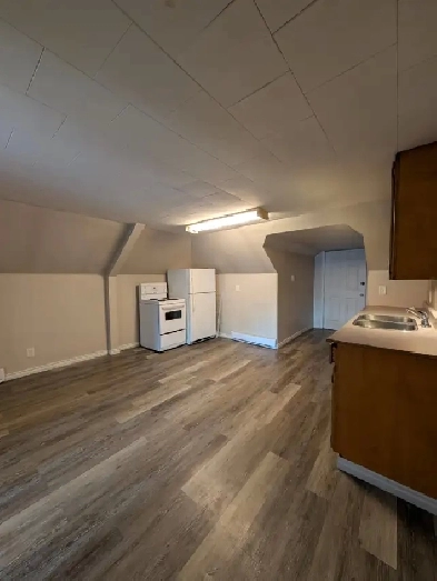 1 Bedroom 1 Bathroom Apartment For Rent image