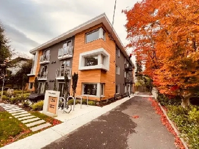 SUITE FOR RENT image