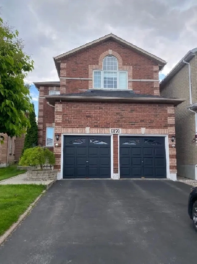 basement for Rent image