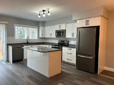 Brand New Construction 2 bed 1 bath plus garage in Espanola image