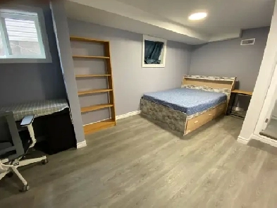 New renovation walkout basement with big windows available NOW image