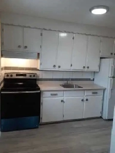 3  Bed 1 Bath 2345  August 1st  Heron Park  Billings Bridge image