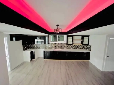Basement for Rent in Fraser Near Manning image