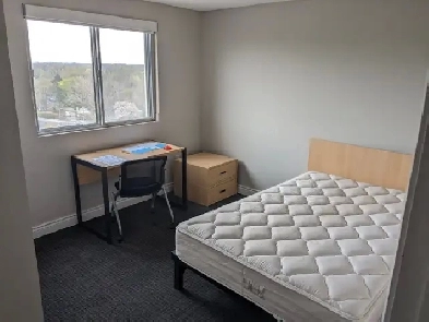 Student Sublet image