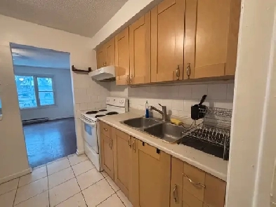 Huge LOFT 2 LEVELS 3 BDR Apartment for Rent Dufferin Eglinton image