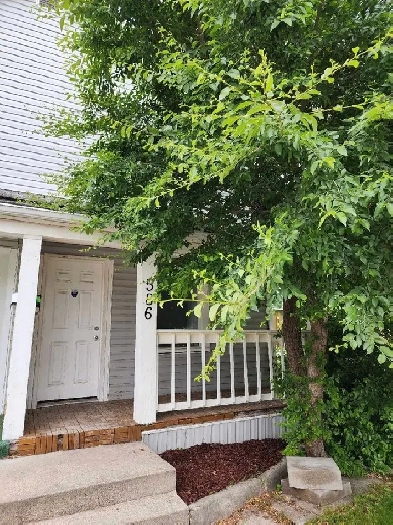Renovated  PetFriendly 1 Bed   Den in East Elmwood image