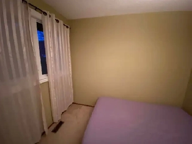 Room For Rent Immediately in Hawkwood NW Calgary image