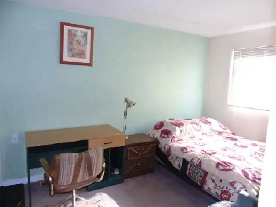 Room near Rundle Train Station NE and Mall image
