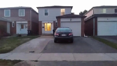 Scarborough Separate Whole Basement for Rent image