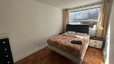 Furnished room in shared 2 bedroom apt Warden Station July 1 image