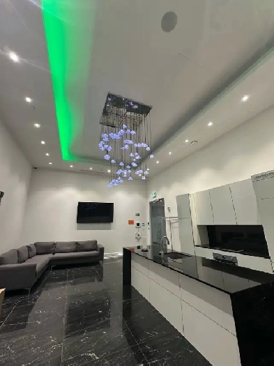 big Luxury condo downtown image