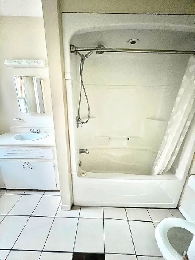 Room Rental Downtown Apartment Pet Friendly  Open Immediately image