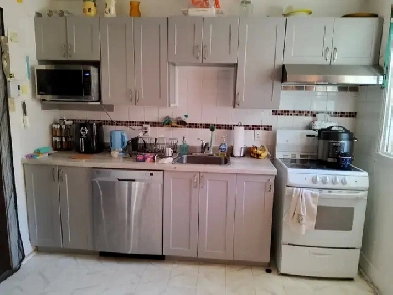 4 12 SPACIEUX ET TRS CLAIR  PLATEAU MONTROYAL image