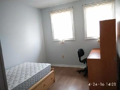 Upper Fl Room for Rent near UTSC Centennial College Morningside image