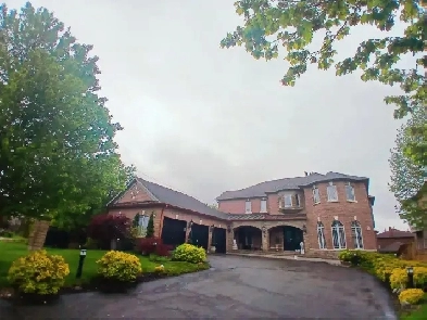 2 Bedroom Walkout Apartment for Rent All Utilities Included image
