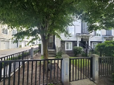 4 BR Townhome in Fleetwood SurreyAvailable from 1st July image